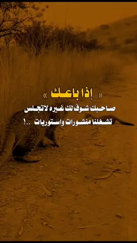 #عبارات_جميلة_وقويه😉🖤 #تصمصميم_فيديوهات🎶🎤🎬 #شرح #اكسبلورexplore #مالي_خلق_احط_هاشتاقات 