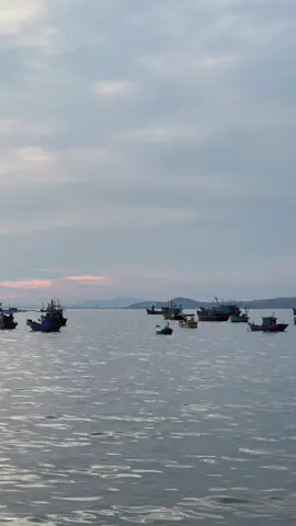 Hãy để em gặp lại người vào một đêm khuya trống vắng. Như cách chúng ta tình cờ chạm vào nhau giữa đại lộ cuộc đời, trong giai điệu muốn thiêu đốt cả đêm đen, mà lời ca lại u buồn quá đỗi. Không biết sớm hay muộn, nhưng thật may vì em đã có người suốt những năm tháng chông chênh nhất. Thật may vì có người giữ tim em lại, trước khi nó cháy rụi vào hư không. Xin hãy để em được gặp lại chúng ta trong màn đêm ấy lần nữa. Em chỉ muốn nói cảm ơn, vì người đã hiện diện một cách đẹp đẽ trên thế gian này. Vì vào những đêm sương giăng không lối thoát, đã chẳng ngần ngại mà níu lấy tay em… - nguồn: night  (bài viết đã có chỉnh sửa từ nội dung gốc của night) - #muine #bien #phanthiet #fyp #xhhhhhhhhhhhhhhhhhhhhhhh 