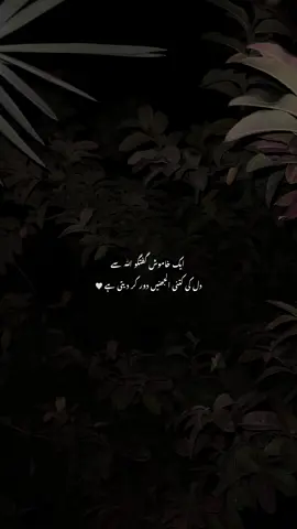 🤍🤌🏻|#foryoupage #viralvideo #islamic_video #islamiccontentecreater #foryoupage 