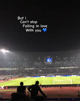 But i can’t stop falling in love with you 💙 After match Persib 1 - 0 Dewa #persib #bandung #football #southside #northenwall 
