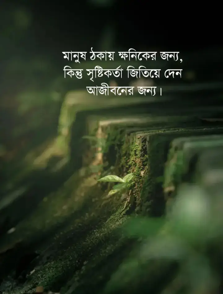 #viraltiktokvideoforyoupaganepal_viral_vi🌼💝 #pfypシviral🖤tiktok☆♡capcut✨️  #farhan_102 #sad #tiktok #lyricsvideo  #foryoupage #soyfulla_kandi_homna #bdtiktokofficial🇧🇩#ওমান_প্রবাসী #ওমান  #CapCut  #foryoupage 