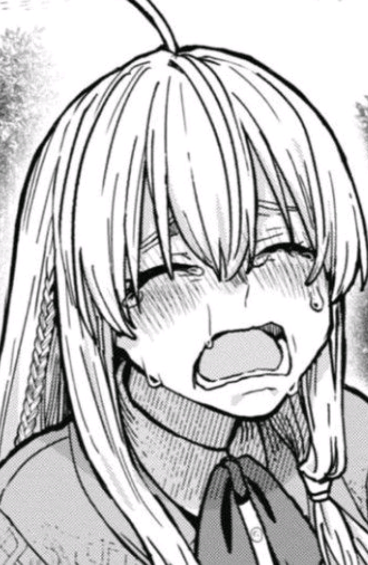 not good🙄🙄 #manga #wanderingwitchthejourneyofelaina #thejourneyofelaina #mangaedit #fypシ 