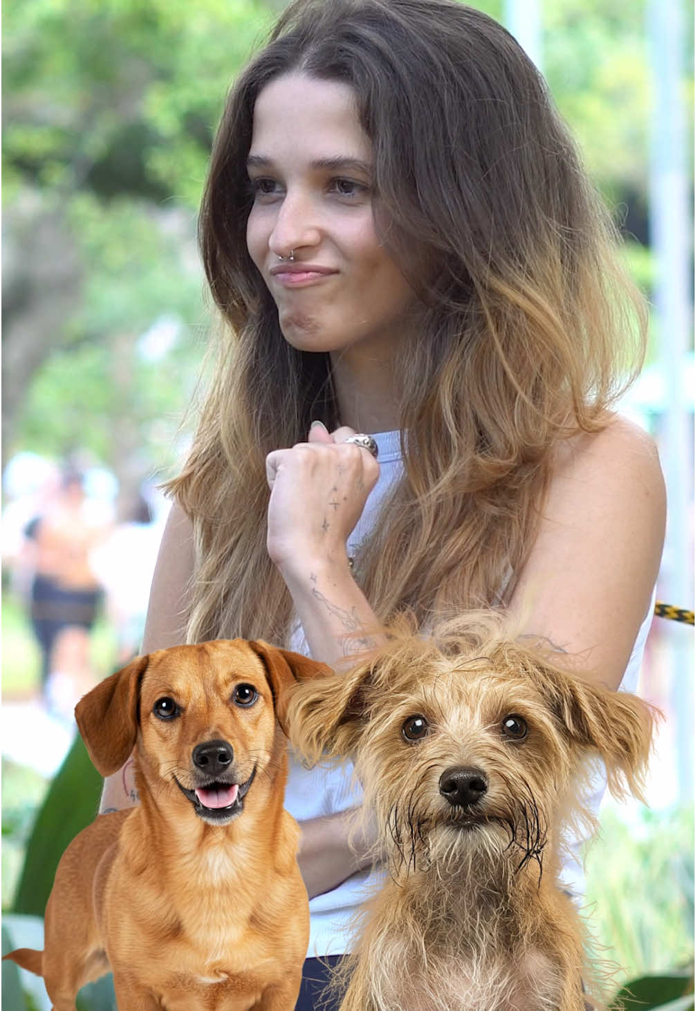 Temos um novo participante dos SRD, mas ela estava decidida 😂