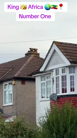 King 👑 Africa 🌍🇪🇹📍 رقم 1 في افريقيا 🌍🇪🇹🇪🇹👑 #ethiopian_tik_tok🇪🇹🇪🇹🇪🇹🇪🇹  ا#اثيوبيا #سياحة #سعوديه 