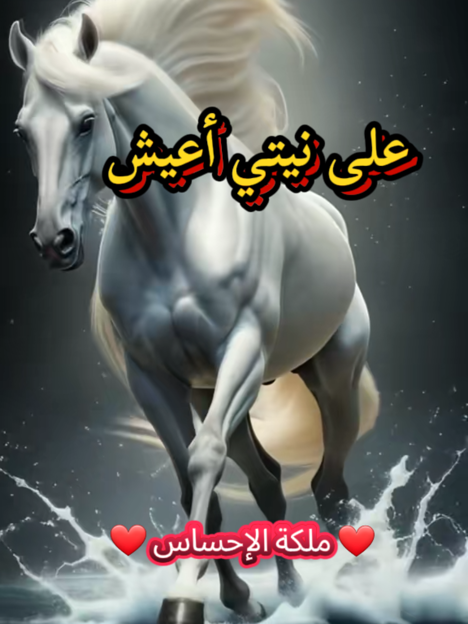 #أم_كلثوم #دارت_الايام #لايك_متابعه_اكسبلور #foryoupage #CapCut 