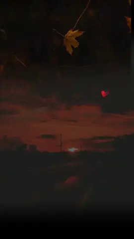 #feelthelines #lovesong #fyp 