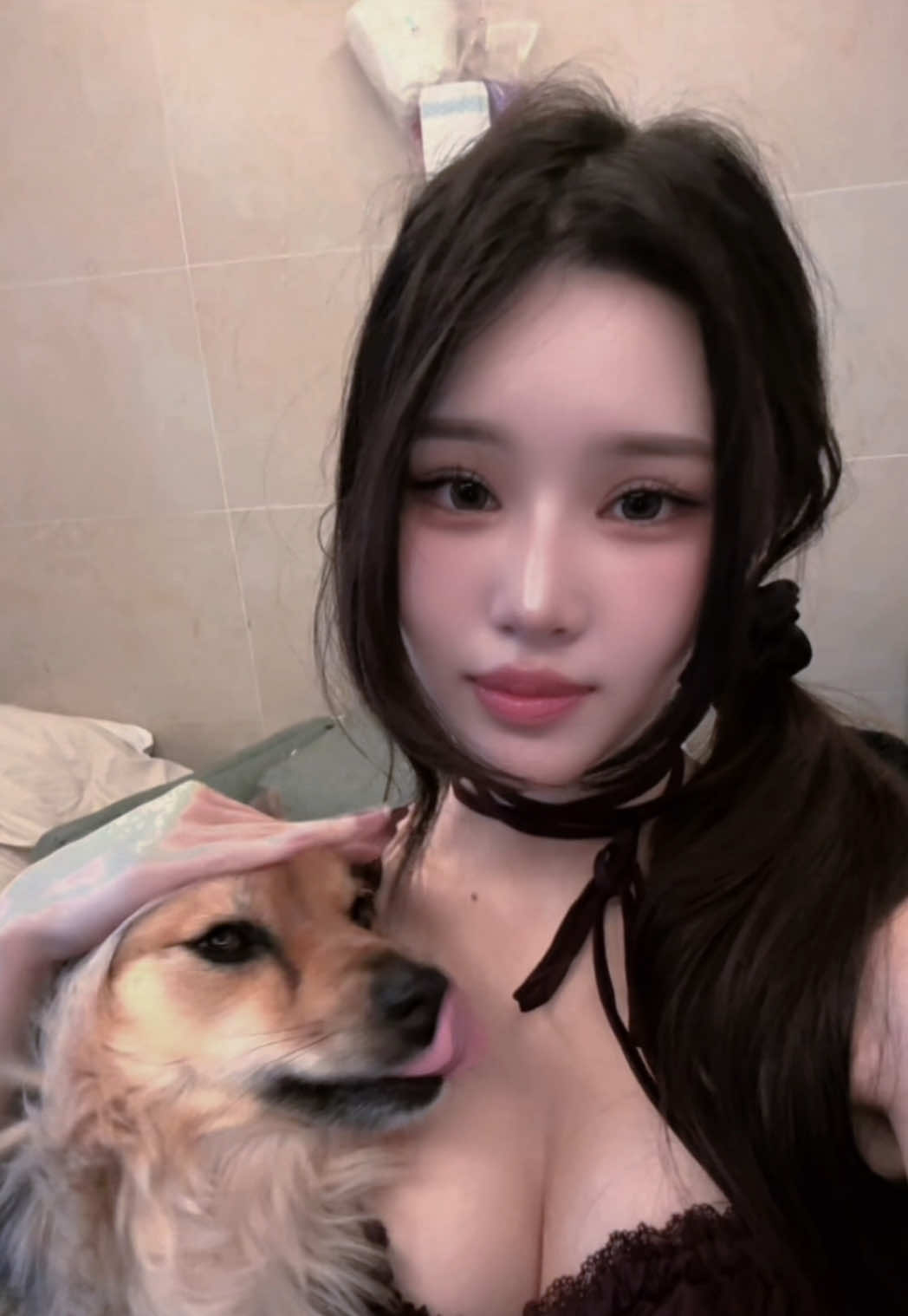 😆😆 #fyp #foryoupage #추천 #dog #korean 