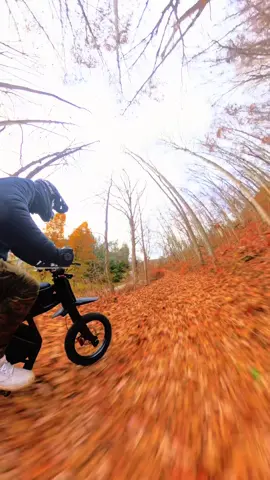 Gt54 in Stock!!! Gt54 pro in stock!! Best prices on the best big boy toys!! E-bikes and scooters come check us out!  #ebike #gt54 #wheelie #dirtbike #motorbike 