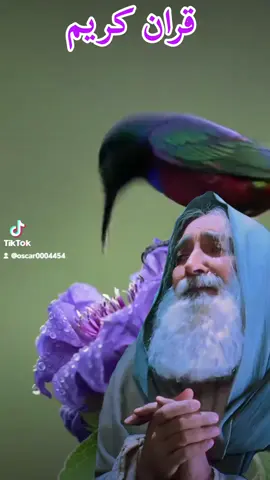 ##قران_كريم #قران_كريم_ارح_سمعك_وقلبك #موصل_بغداد_كركوك_حله_نجف_بصره #الهــــ🌈ـــريف #نجف_بغداد_حله_ناصريه_كربلاء_كركوك_تكريت 