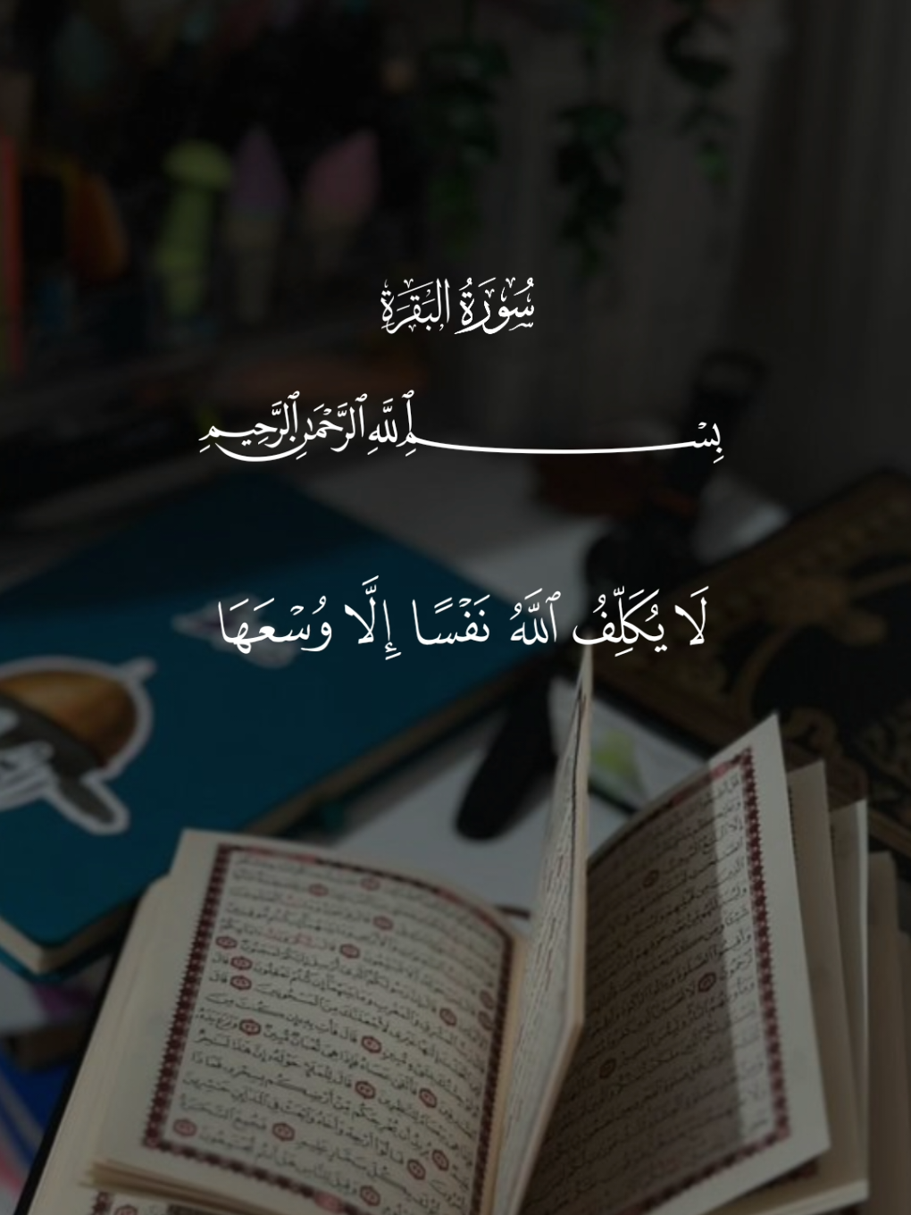 لا يكلف الله نفساً إلا وسعها  #عبد_الباسط_عبد_الصمد #قران_كريم  #تصميم_karimmohmed30 