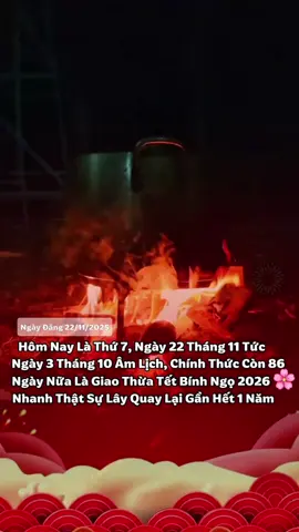 Chỉ Còn 86 ngày nữa thôi là Đến Tết rồi 🌸🌸#xuhuong #tet #tet2026 #fyp #thanhthoiluottet 