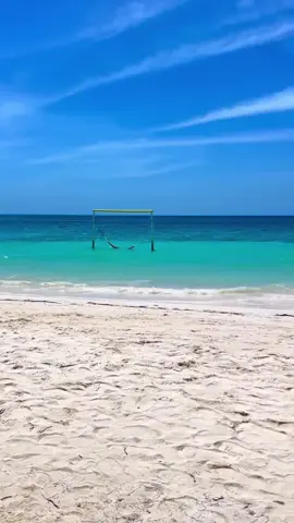 PASADÍA VIP ISLA PALMA Disfruta de un espacio privado, con buena musica rodeado de las mejores playas cristalinas del Archipielago.  🌴 Pasadía VIP en Isla Palma: ¡la Maldiva de Colombia! 🏝️ Vive un día exclusivo en el paraíso con nuestro plan VIP: Cóctel de bienvenida para empezar con el pie derecho 🍹 Almuerzo tipo bufé con exquisitas opciones para todos los gustos  Sillas y playa privada para tu máximo confort ☀️ Kioscos exclusivos para relajarte con sombra y estilo 🌊 ¡Escápate a un rincón único del Caribe y vive la experiencia que mereces! Para mayor información sobre nuestros viajes a San Andrés Contáctanos a través de nuestro WhatsApp  3011872855 - 3001277148  #Islapama #PasadíaEnIslaPalma #Pasadiavipislapalma #ToluCoveñas  #Coveñas