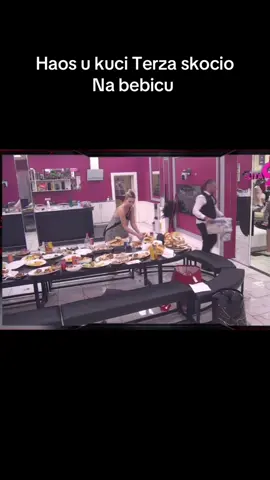 #elita #rtvpink #zadruga 