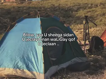 bl sHere U dHaha.. . .. #fyp #foreyou #somalitiktok #lander 