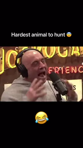 “That’s a whole other level.” 💀 #joerogan #funny #joeroganexperience #fyp #pingtrip 