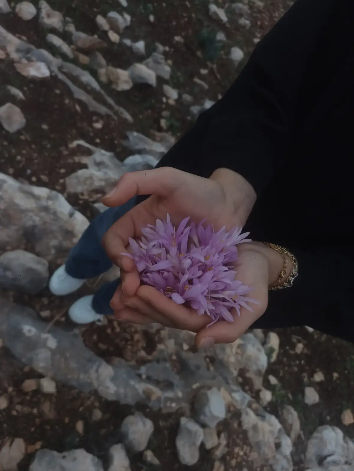 #fyp #floresamarillas #Biscoitocut #فوريو_foryou #عشوائيات @Najd alkenani بوتيك 💸 