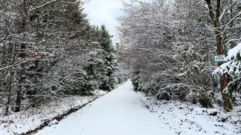 Так хочется жить…