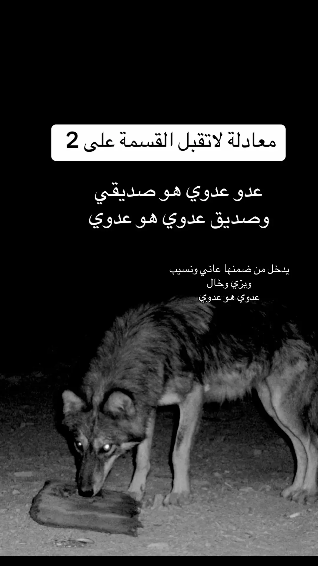 لان كلهم نفس الشركة 