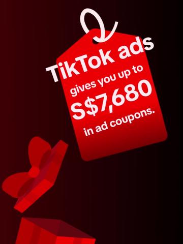 Grow your business on TikTok through TikTok Ads Manager!