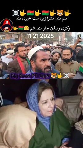 #Bigboosptitaiger🇧🇫?🇧🇫? #viral 🇧🇫?tikt 🇧🇫#welldone 🤟#mashra 🇧🇫#releezaimranrazakhan804 🇧🇫🤟🇧🇫🤟