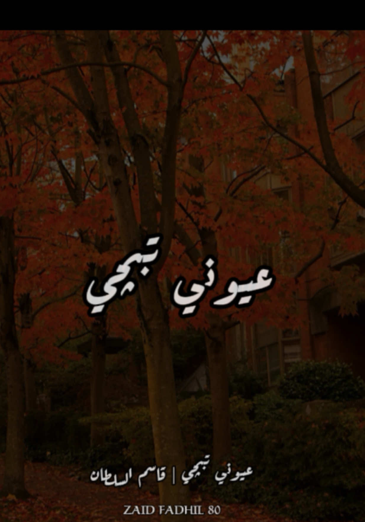 كلما يمر طير يفرفح الدلال كلما يمر طير ، ما يعشك الغير ما يعشك الغير گلبي رهم وياك ما يعشك الغير ، شيصالحه و شيرده ليا فراكه صدك اثر عليا ، عيوني تبچي   . #قاسم_السلطان #عيوني #اغاني #قديم #جيل_الطيبين 