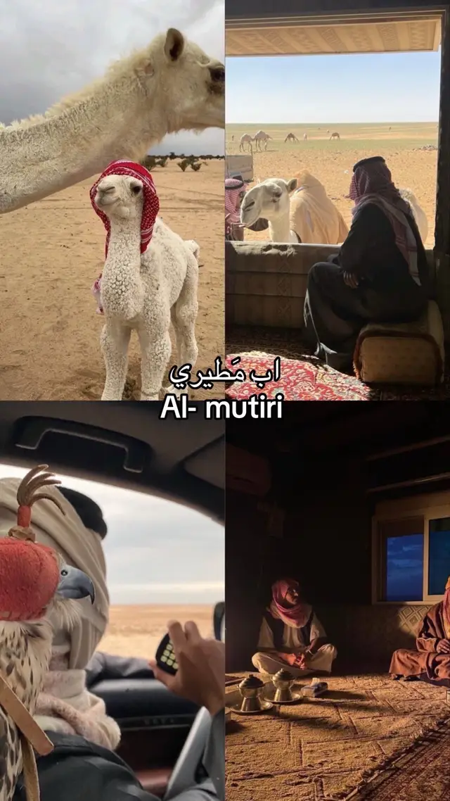 اقضل نعمه الحمدلله 🤍 #مطير_اهل_الثلاث_المعجزات #السعودية #اكسبلور #طلعوني_اکسبلور #المطيري #الميموني 