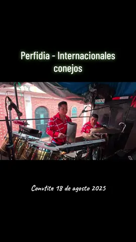 PERFIDIA- Intenacionales Conejos 2025  #fiestaselenas #Quiche #marimba #convite #internacionalesconejos 