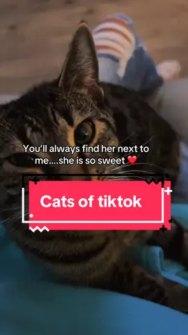 #kiki #catmom #catsoftiktok #cattok #nexttome 