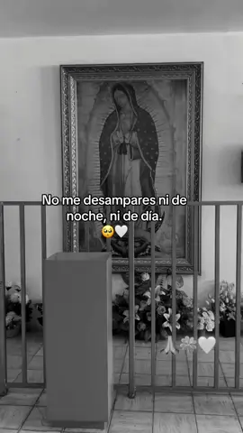 #virgenmaria #nomedesamparesnidenochenidedia #amen #🙏🏼🥺 