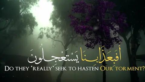 #ترند #viral #قران_كريم #اكسبلور #قران 