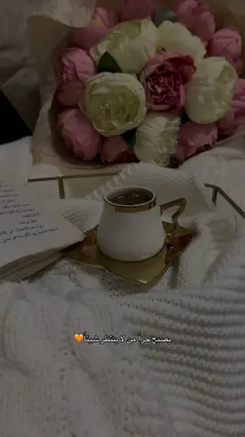 #explore #fyp #foryou #تصويري_احترافي_الاجواء👌🏻🕊😴 