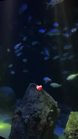 Búscalo a él, él te ayudará❤️‍🩹🙌🏼