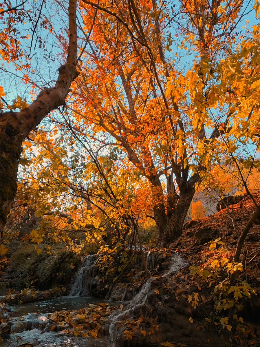 #CapCut #kurdistan  #nature #foryou #bile 