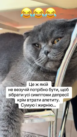 #😂😂😂 #recommendations #fyp #foryoupage❤️❤️ #гумор 