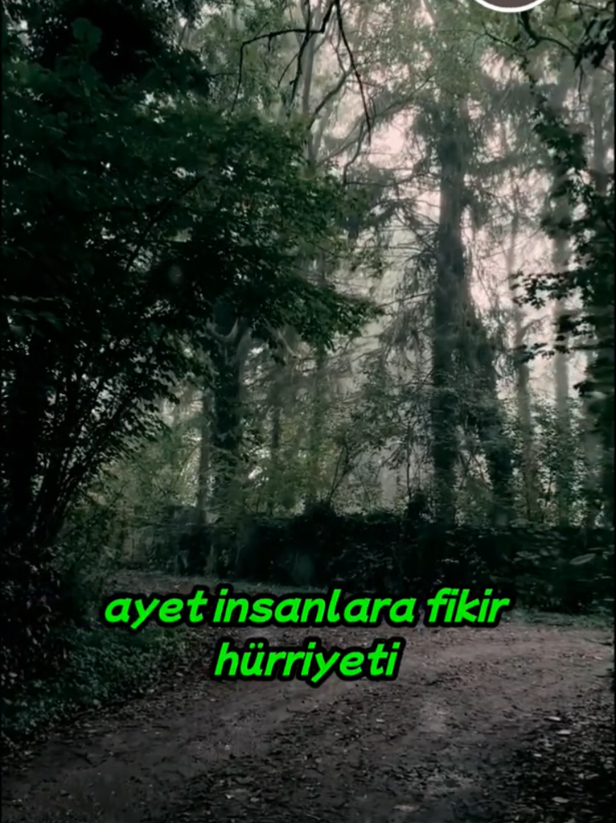 #allah #islam #reels #keşfet #din 