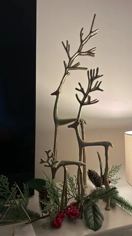 #aldifinds #christmasdecor #tistheseasontobejolly #alditiktok #reindeer @Aldi UK 