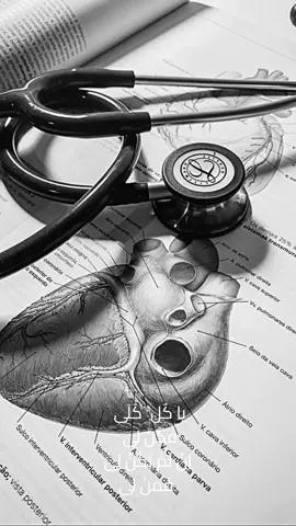 من يريد الحلم ان يصبح حقيقة علية بالسعى والثقه بالله ان الله عز وجل سيكرمه ( اسعى ورا حلمك حتى لو نسبة تحقيقة 1% ) #study #تحفيز #مذاكرة #fyp 