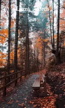 #pourtoii #pourtoipage #yourpage #pourtoi #explore 