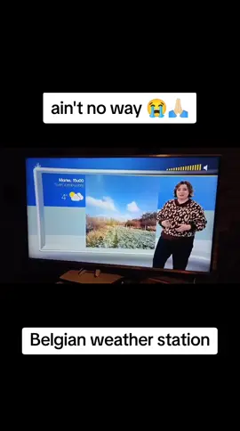 Geen haat naar Jacotte pls 67 #sixseven #67 #belgium #weerbericht #meme 