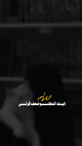 🤍🤍. . . . . . .#CapCut #dancewithpubgm #fypage #tiktok  #سوريا_تركيا_العراق_السعودية_الكويت 