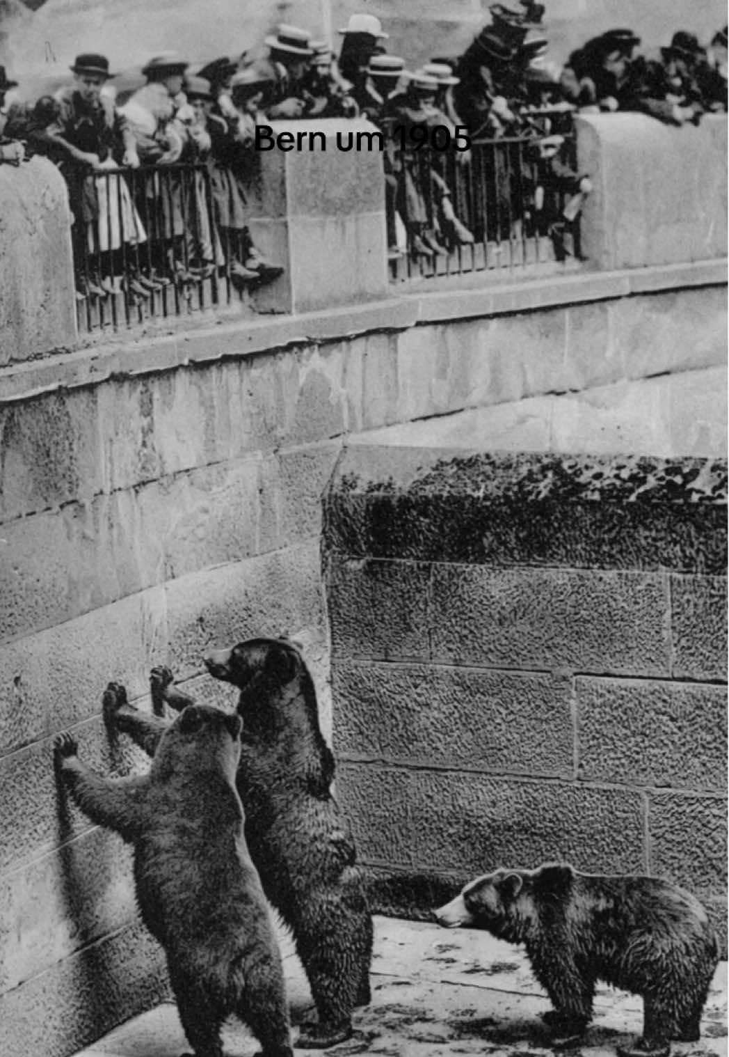 Bern hat diese besondere Art, Geschichten zu tragen — still, geduldig und voller Seele. Diese alten Aufnahmen haben mich sofort gepackt, und ich wollte ihnen wieder Atem schenken. Mithilfe von künstlicher Intelligenz habe ich diese Momente neu zum Leben erweckt – damit das Bern von damals wieder spürbar wird. Ein besonderer Dank geht an Bernhard Eggimann (@berndamals), der mir diese historischen Bilder zur Verfügung gestellt hat.  #Bern #BernCity #BernSwitzerland #Schweiz #SchweizerGeschichte           