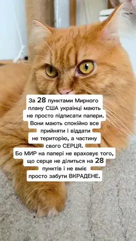 Мирний план #сша #трамп #зеленский #колизакінчитьсявійна #війна 