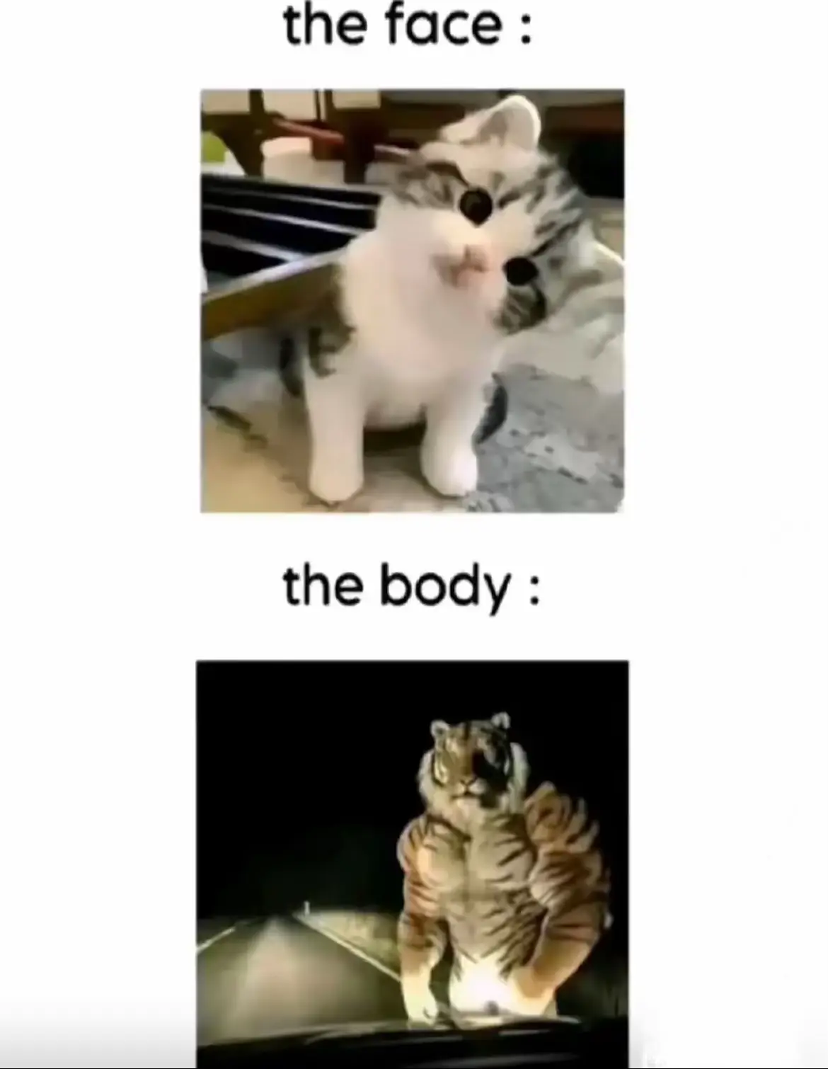 #fyp #fypシ #fyppppppppppppppppppppppp 