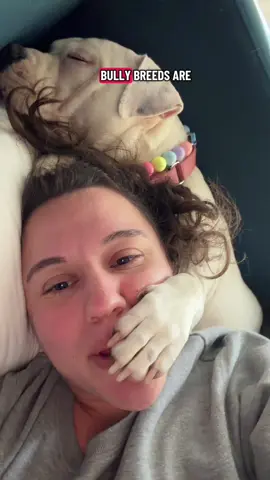 Don’t worry, my nurse is on it!!!!!! #pitbullsoftiktok #americanbully #bullybreeds #nannydog #fyp 