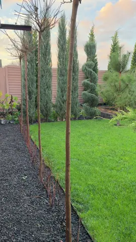 #гармонія_природи⚜️⚜️⚜️ #цінуватижиття❤️ #осінь🍁🍁🍁 #УКРАЇНА❤️❤️❤️ #стрижка_рослин 