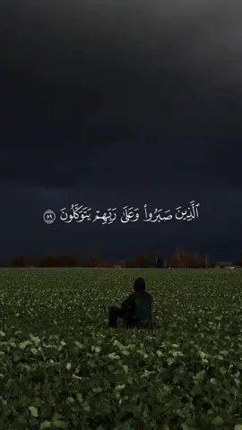 #قران #quran #قران_كريم #Allah #اللهم_صلي_على_نبينا_محمد 