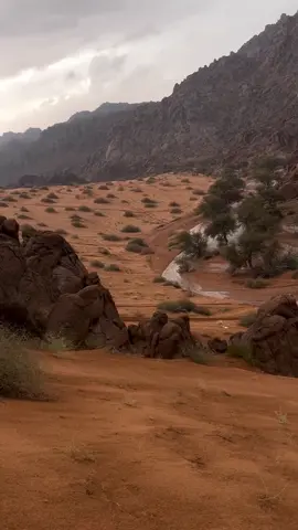 #حايل #hail #مطر 