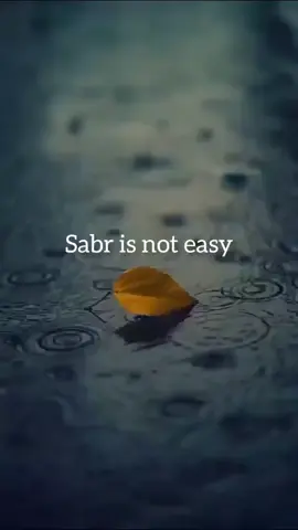 Sabr is not easy . . . . . . #islamic #islam #allah #qatar #quran                         