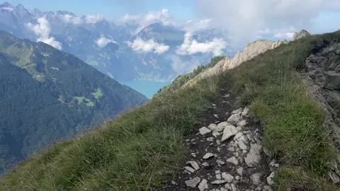 vibe? #nature #vibe #fyp 