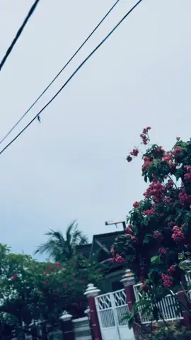 Saran kaliper🙏🏻#mxking #mxking150 #mxkingmodifikasi #mxkingsolostyle #mxwongtulus 